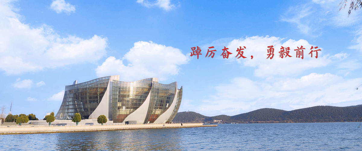 踔厉奋发，勇毅前行